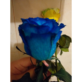 Краситель для срезанных цветов фиолетовая PreFlower Color 2 мл