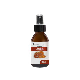 Смывка канифоли ResinAnt AntiRosin 100 мл