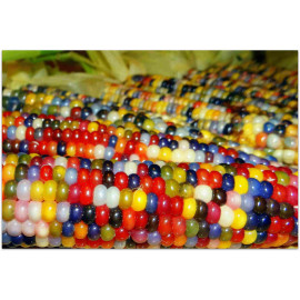 Краска для семян красная REDCORN 200 л