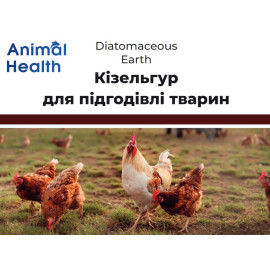 Добавка для подкормки животных AnimalHealth Diatomaceous Earth Кизельгур 1 кг