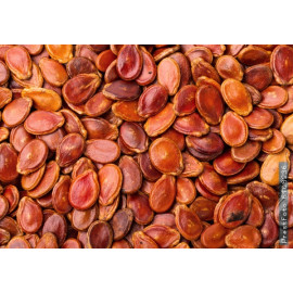 Краска для семян красная REDCORN 10 л