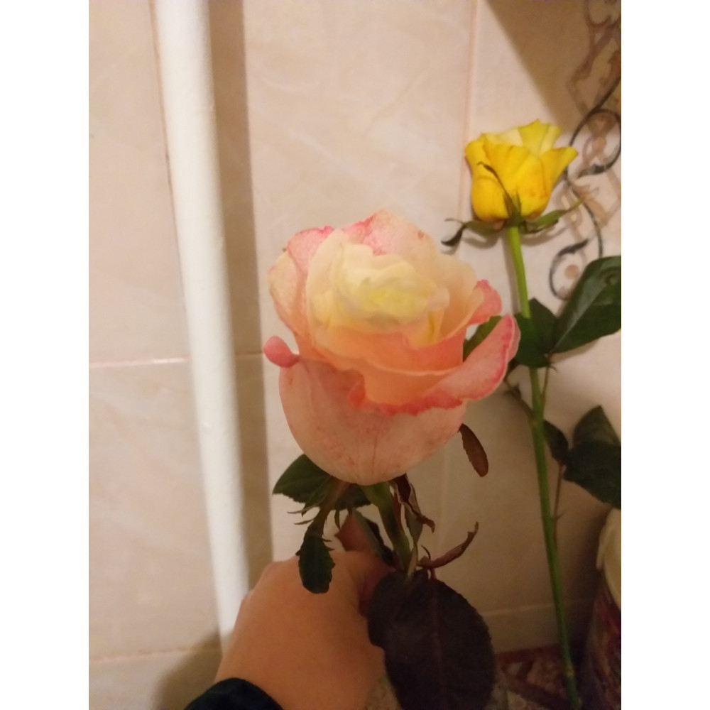 Краситель для срезанных цветов оранжевая PreFlower Color 1 кг